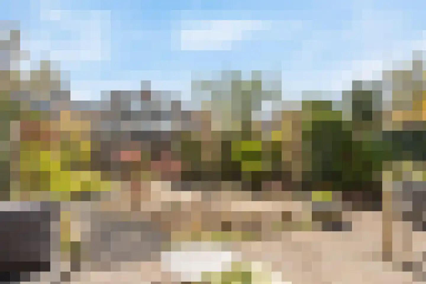Zwaluwweg 62 Voorschoten thumbnail 51