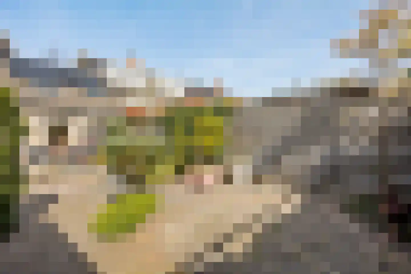 Zwaluwweg 62 Voorschoten thumbnail 56