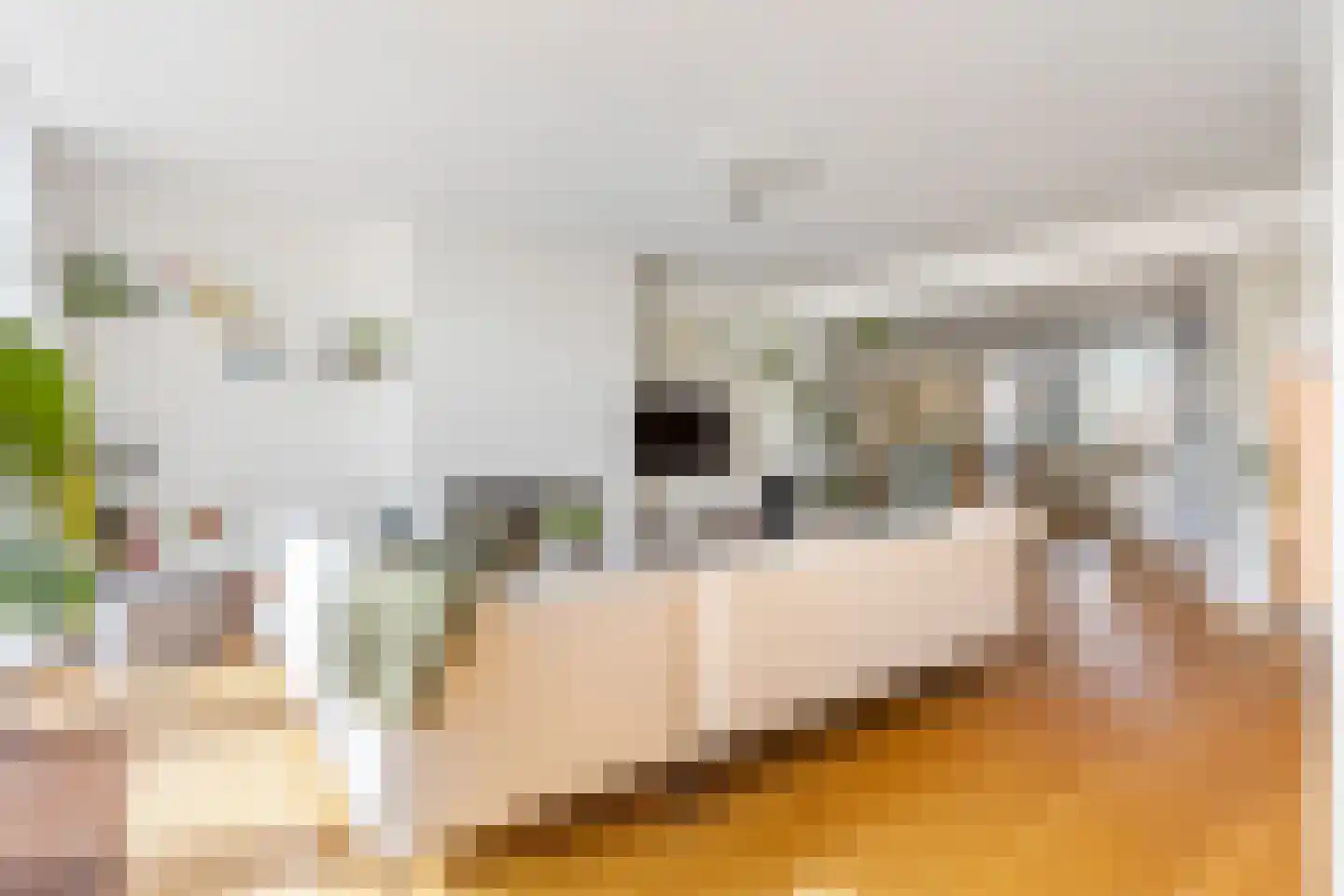 Zwaluwweg 62 Voorschoten thumbnail 8