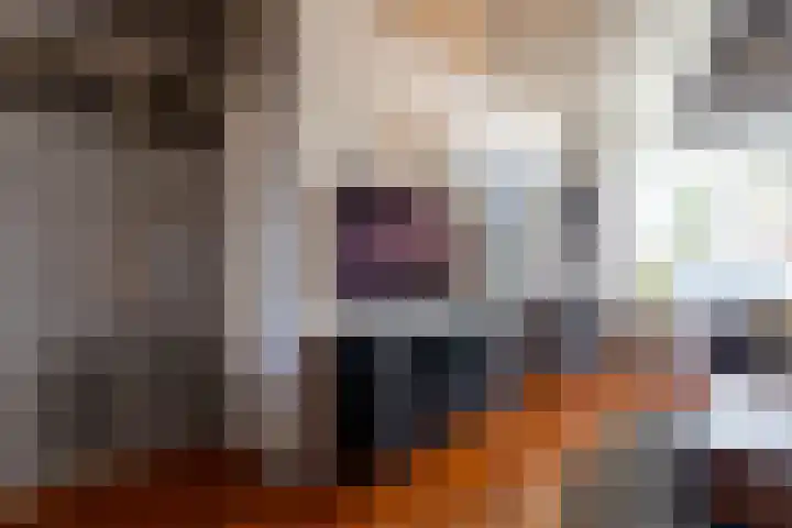 Zwaluwweg 64 Enkhuizen thumbnail 14