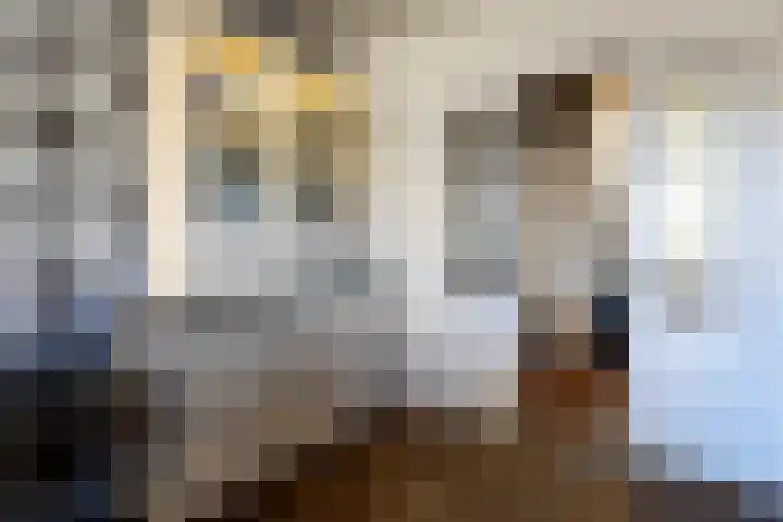 Zwaluwweg 64 Enkhuizen thumbnail 20