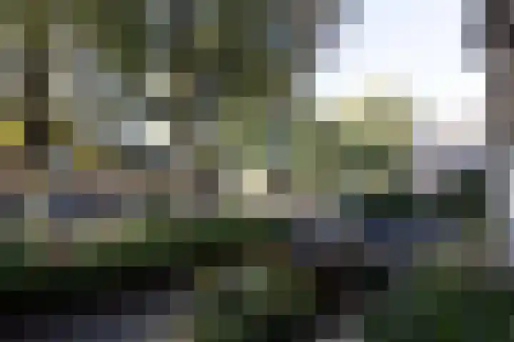 Zwaluwweg 64 Enkhuizen thumbnail 60