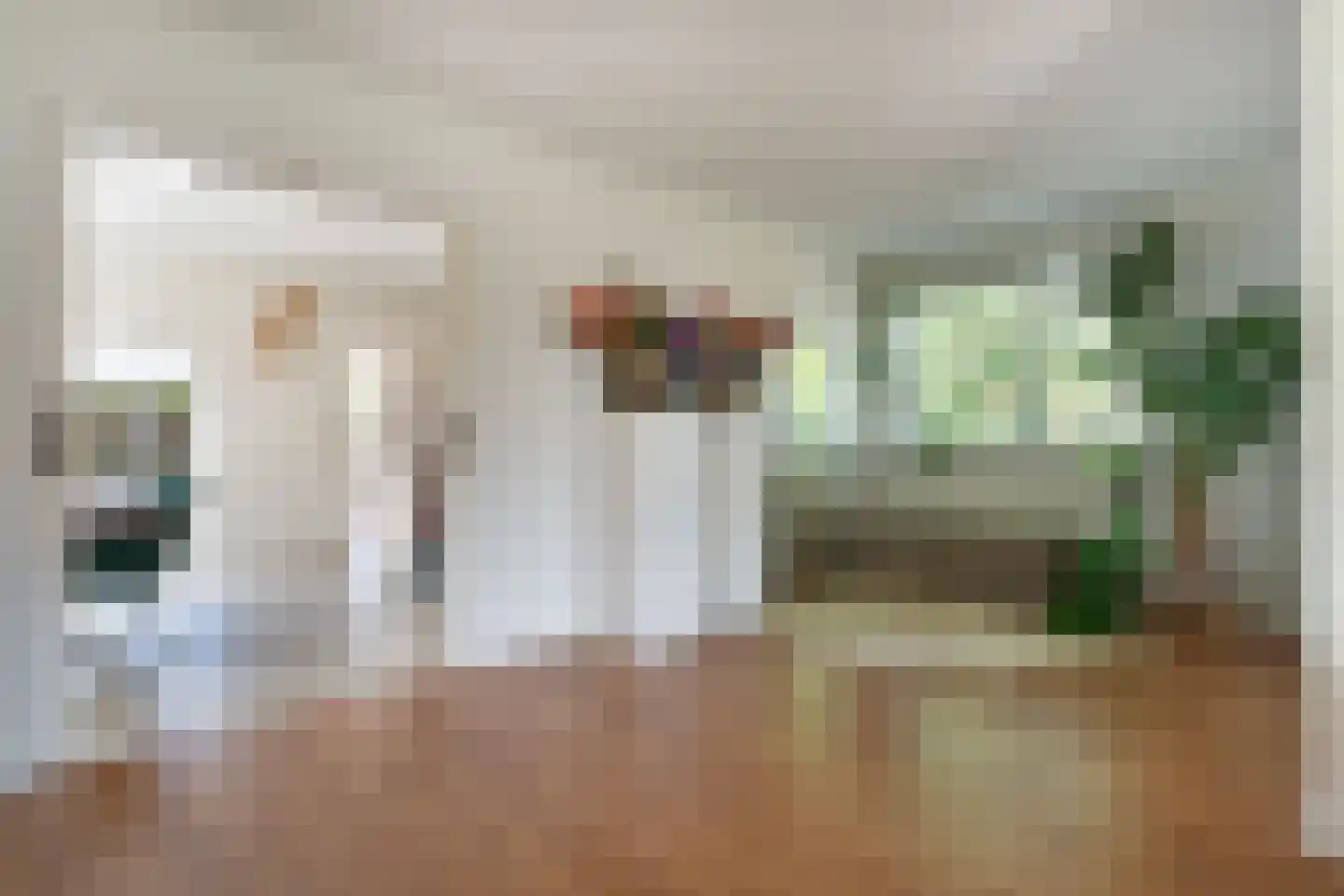Zwamsstraat 2 Heino thumbnail 11