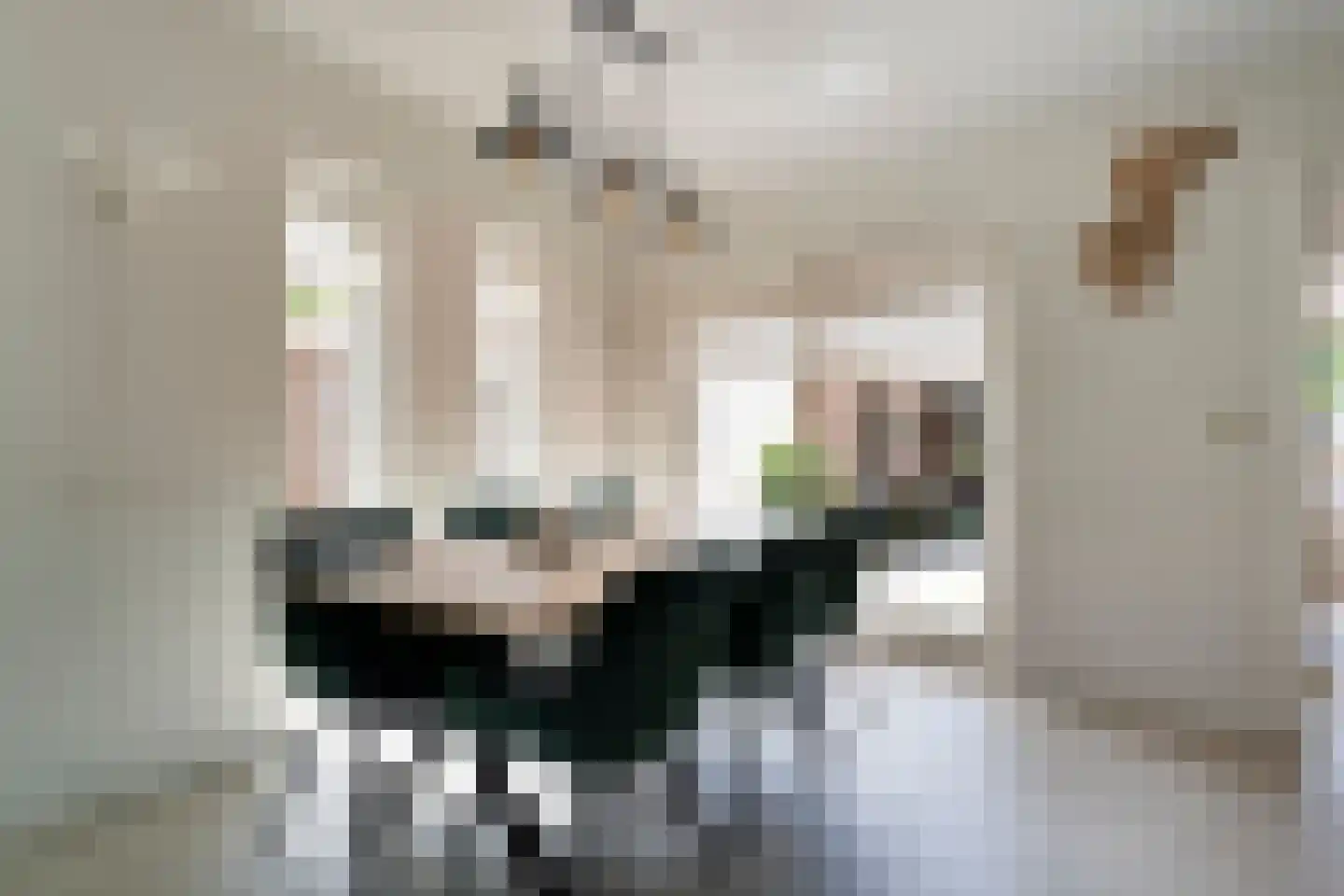 Zwamsstraat 2 Heino thumbnail 13