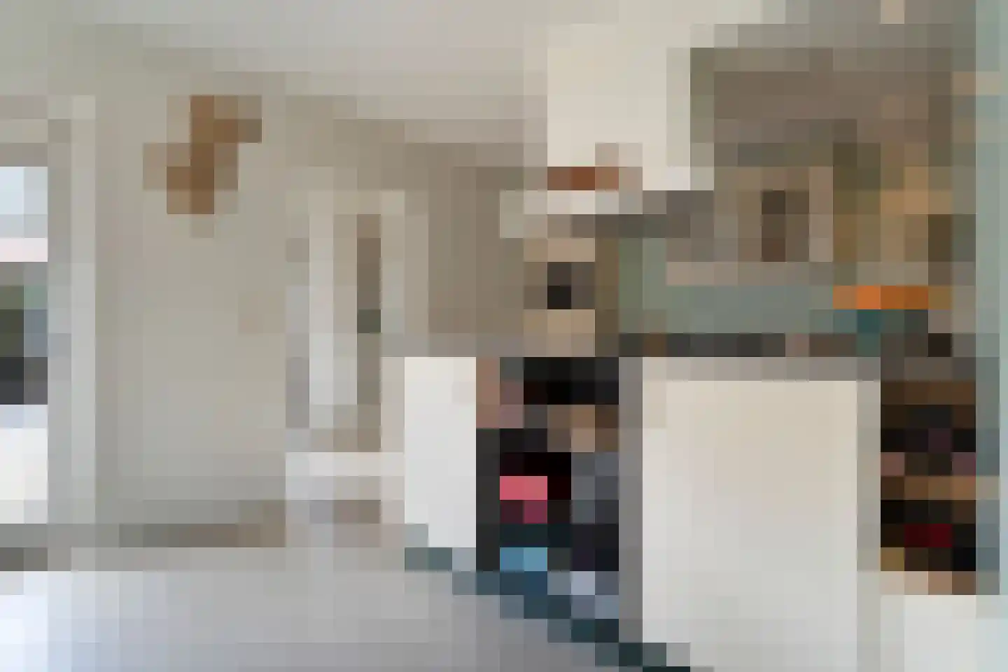 Zwamsstraat 2 Heino thumbnail 14