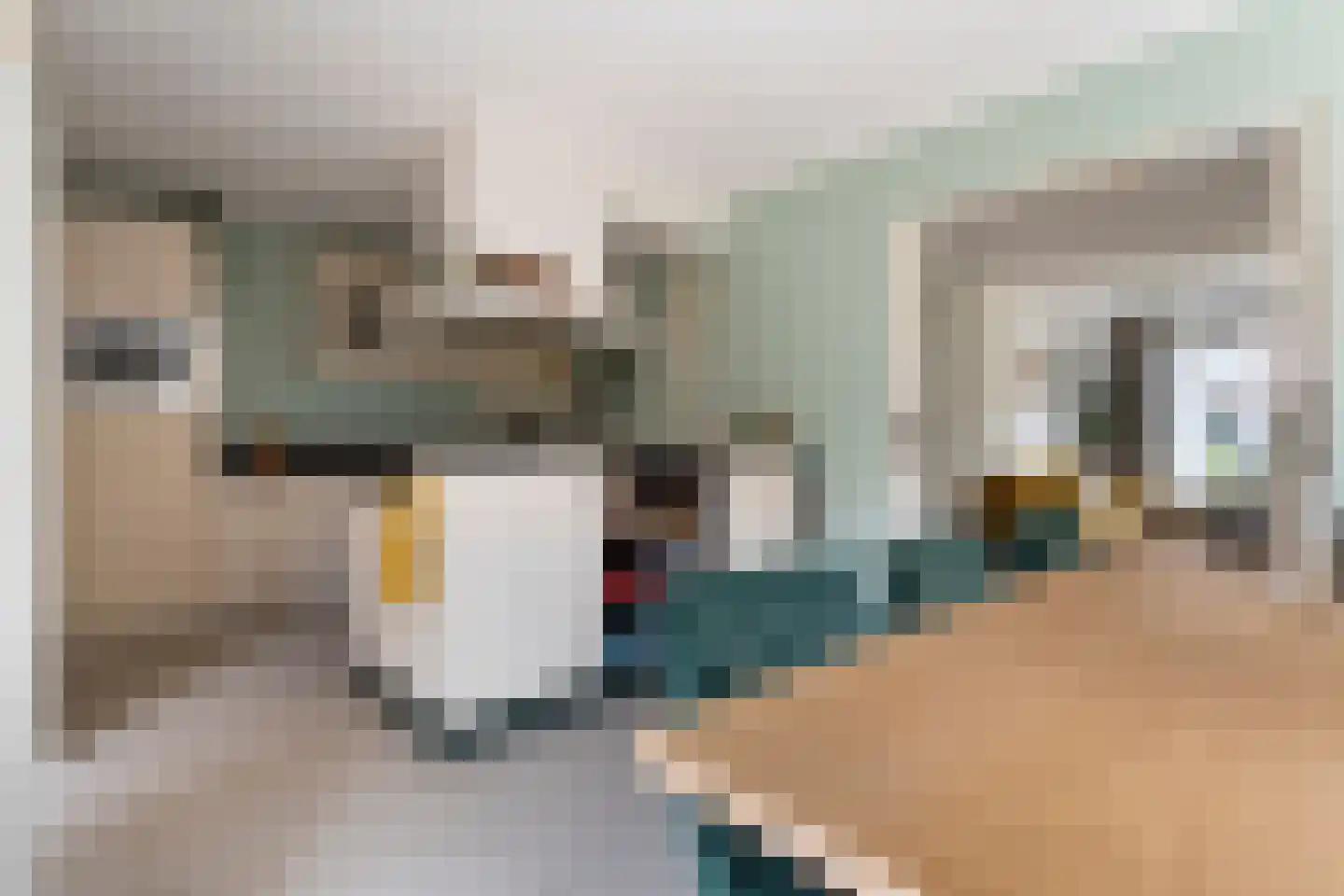 Zwamsstraat 2 Heino thumbnail 15