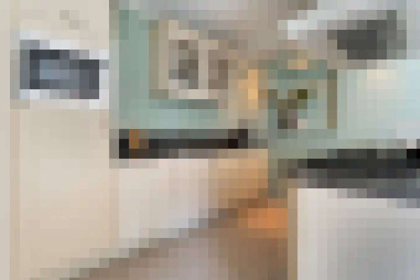 Zwamsstraat 2 Heino thumbnail 16