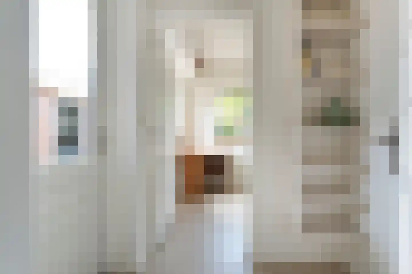Zwamsstraat 2 Heino thumbnail 19