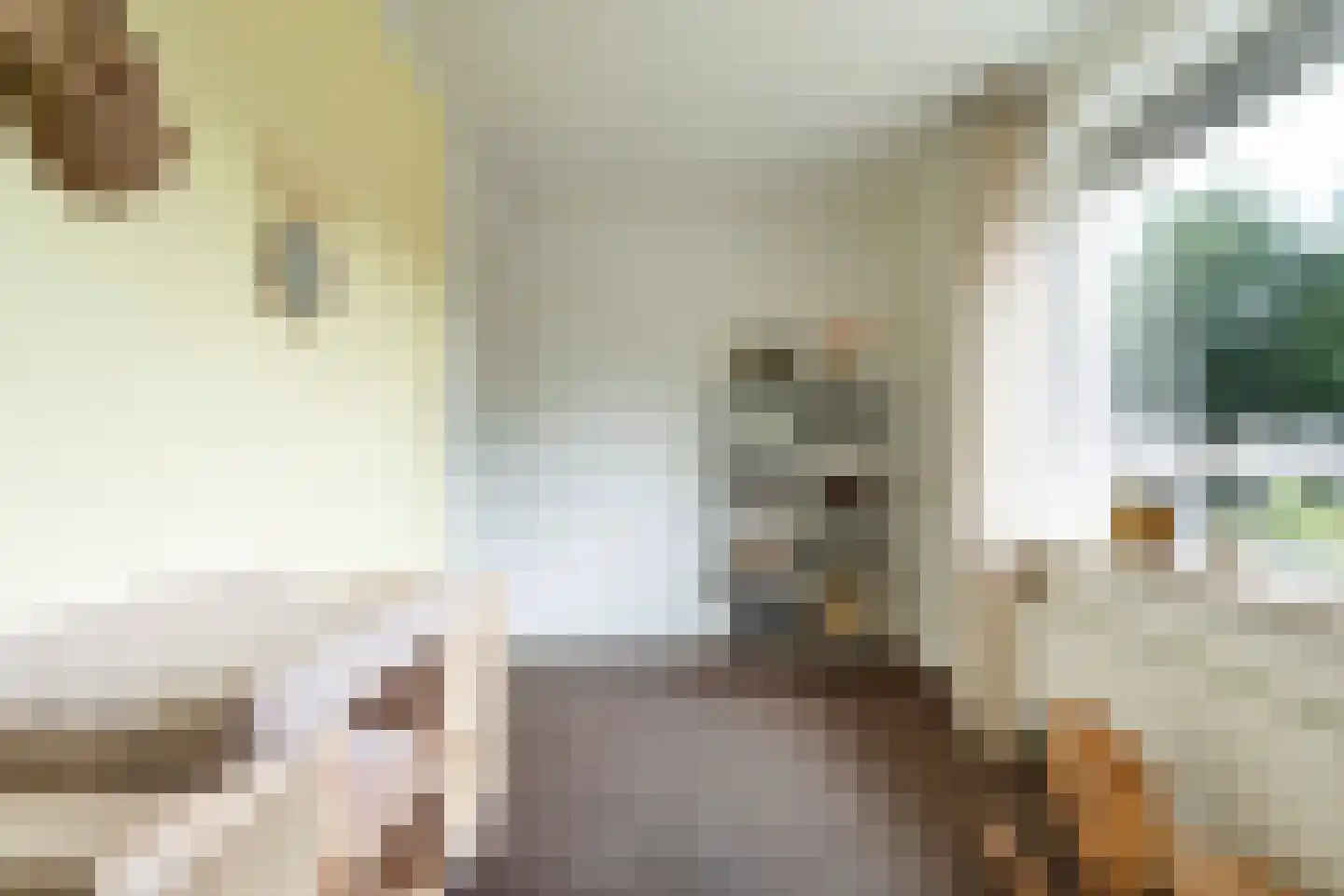 Zwamsstraat 2 Heino thumbnail 30
