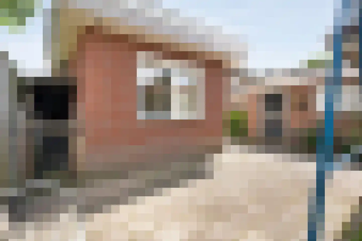 Zwamsstraat 2 Heino thumbnail 45