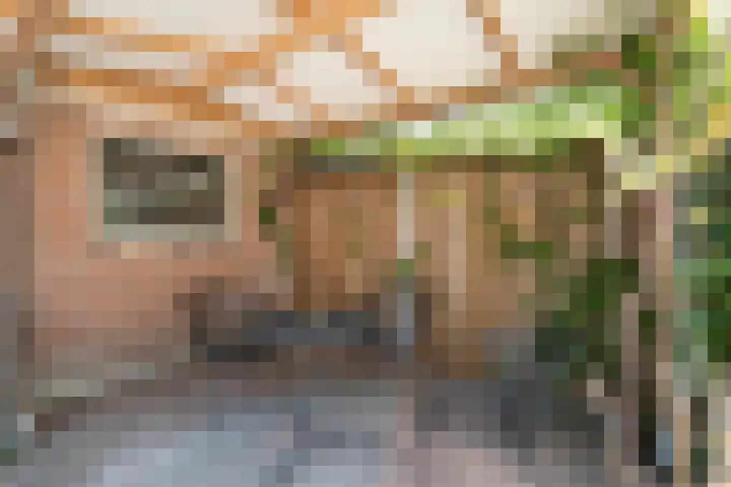 Zwamsstraat 2 Heino thumbnail 47