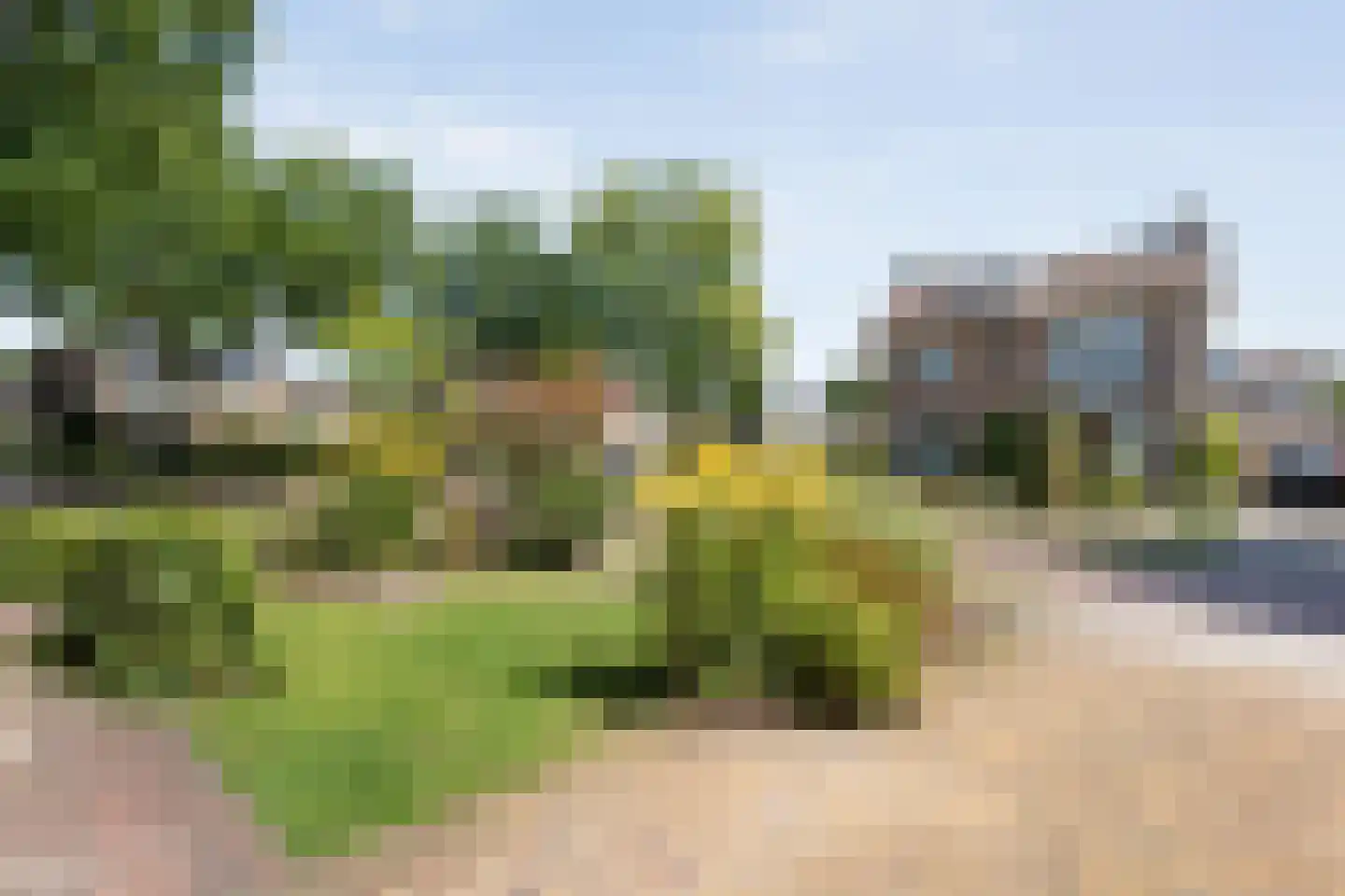 Zwamsstraat 2 Heino thumbnail 53