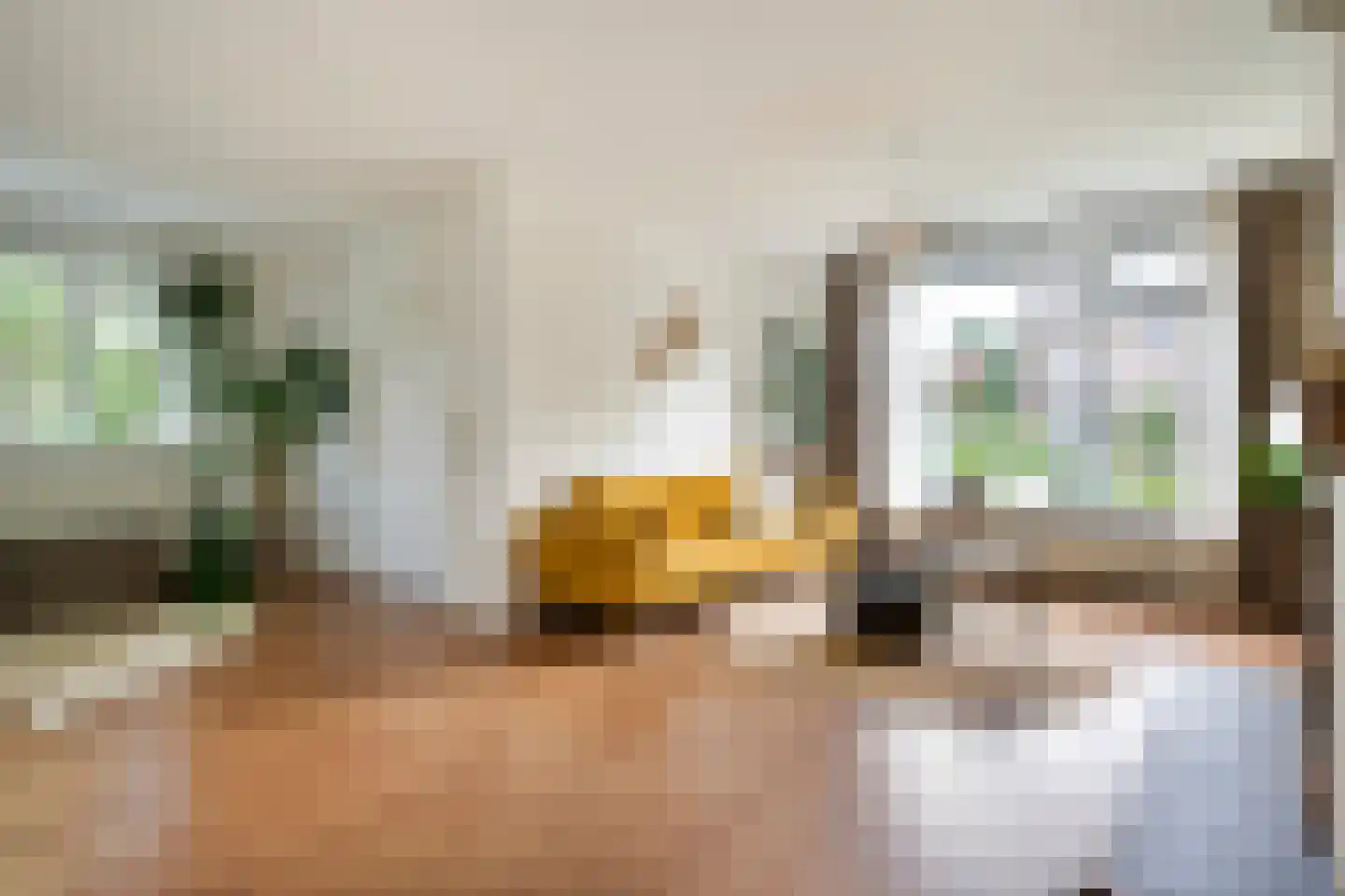 Zwamsstraat 2 Heino thumbnail 7