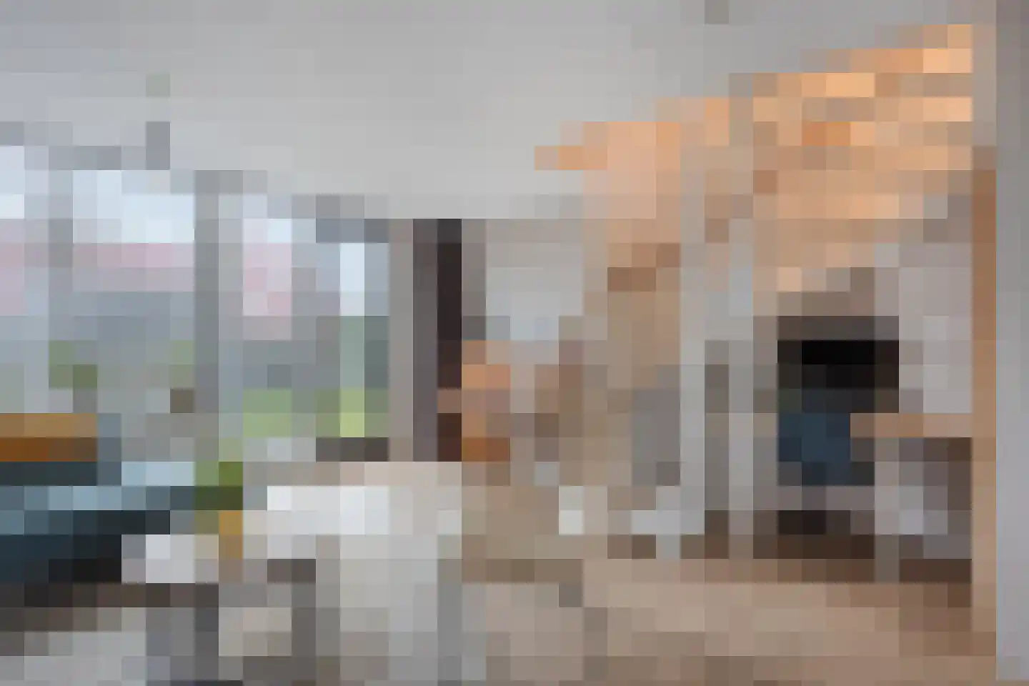 Zwanebloem 1 Abbekerk thumbnail 13