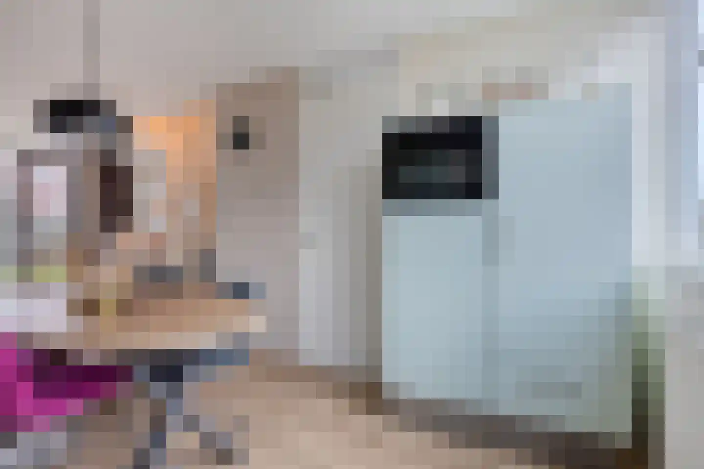 Zwanebloem 1 Abbekerk thumbnail 17