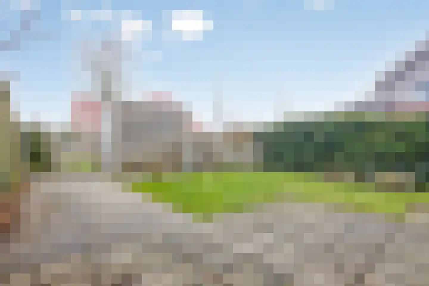 Zwanebloem 1 Abbekerk thumbnail 28