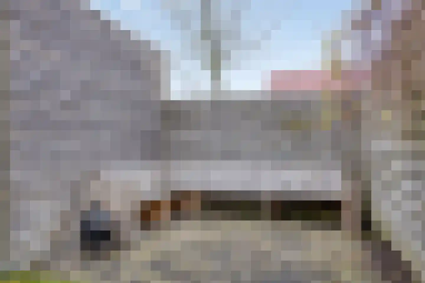 Zwanebloem 1 Abbekerk thumbnail 29