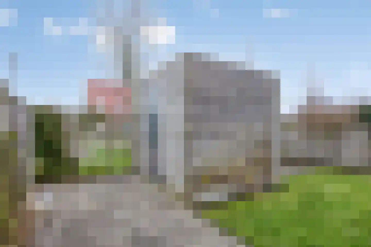 Zwanebloem 1 Abbekerk thumbnail 30
