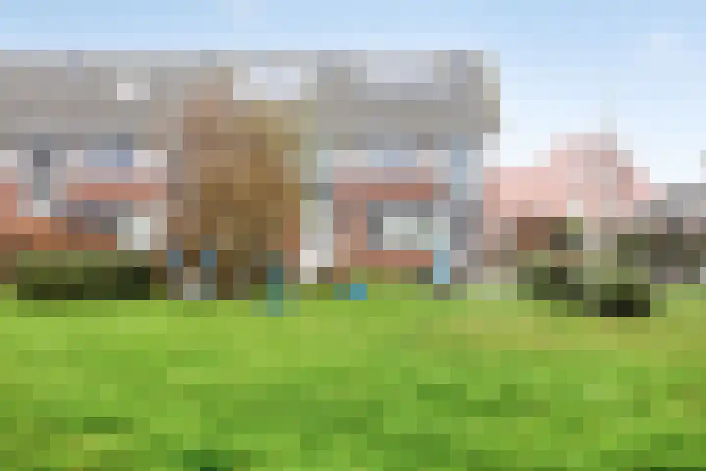 Zwanebloem 1 Abbekerk thumbnail 33