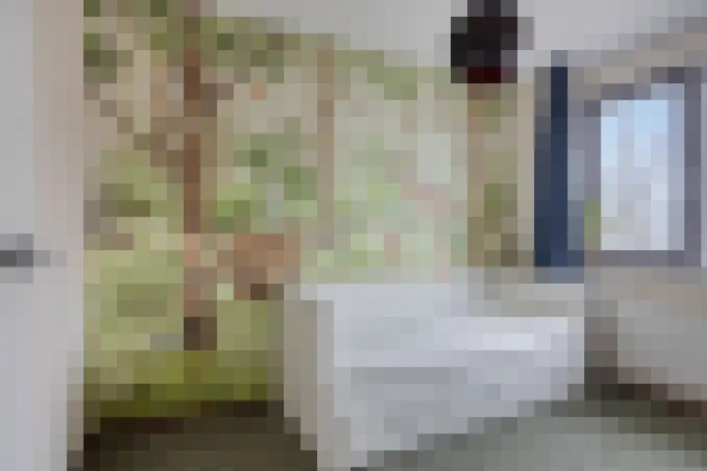 Zwanebloem 1 Abbekerk thumbnail 4
