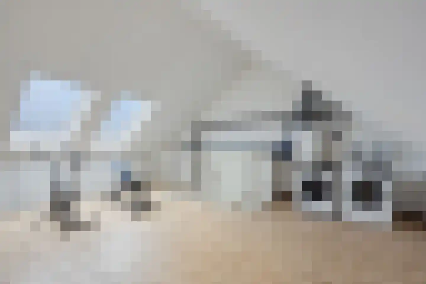 Zwanebloem 1 Abbekerk thumbnail 5