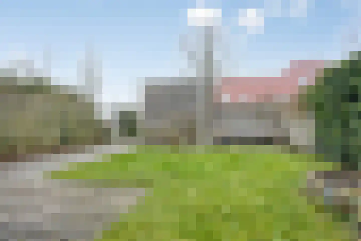 Zwanebloem 1 Abbekerk thumbnail 6