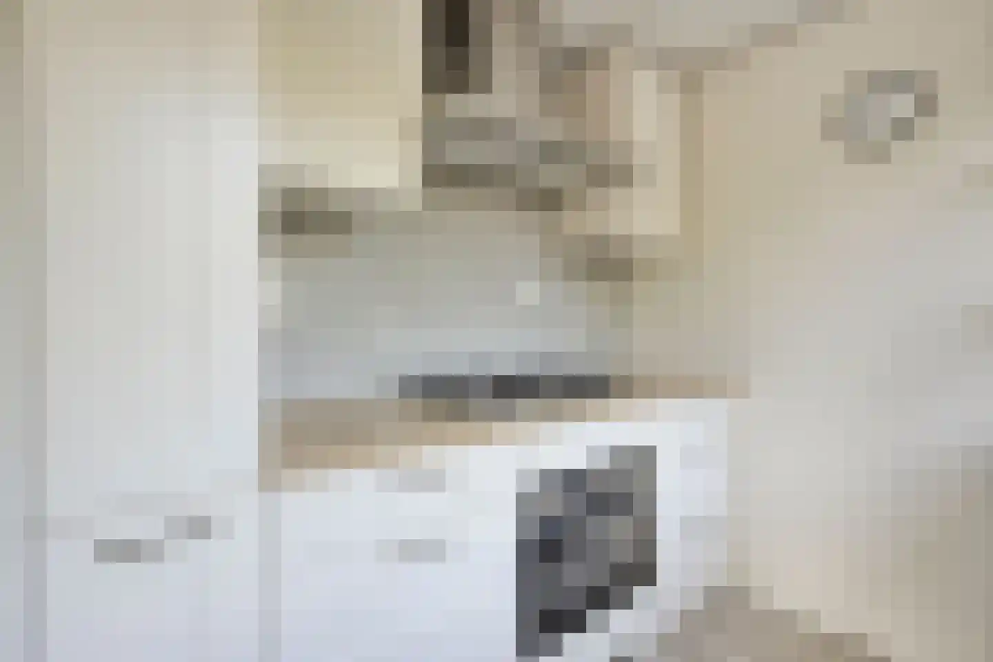 Zwanebloem 1 Woubrugge thumbnail 10