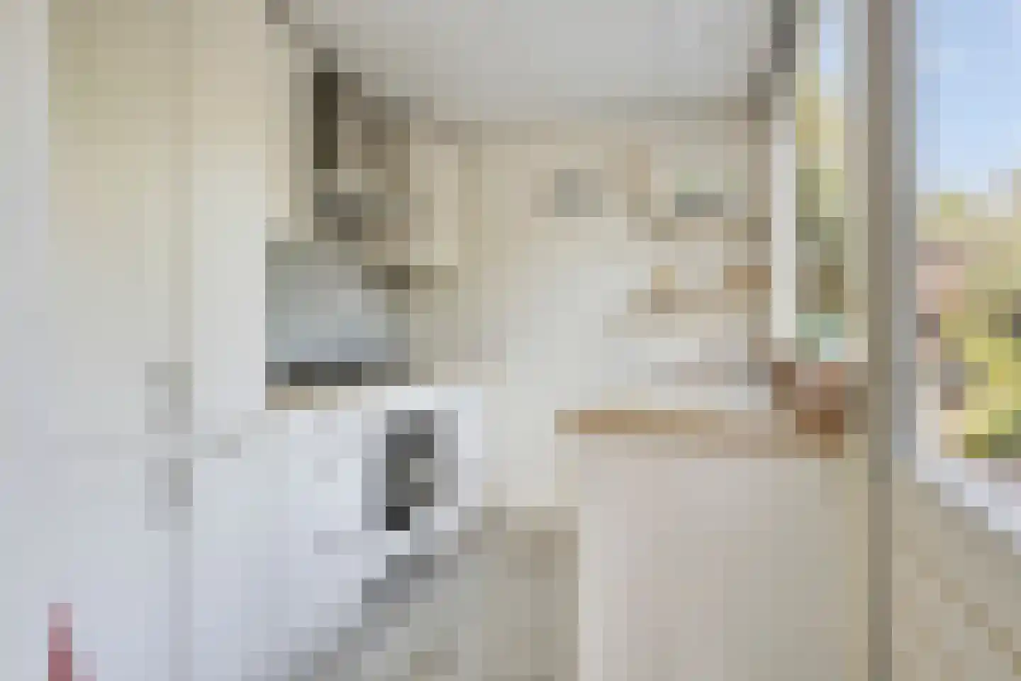 Zwanebloem 1 Woubrugge thumbnail 11