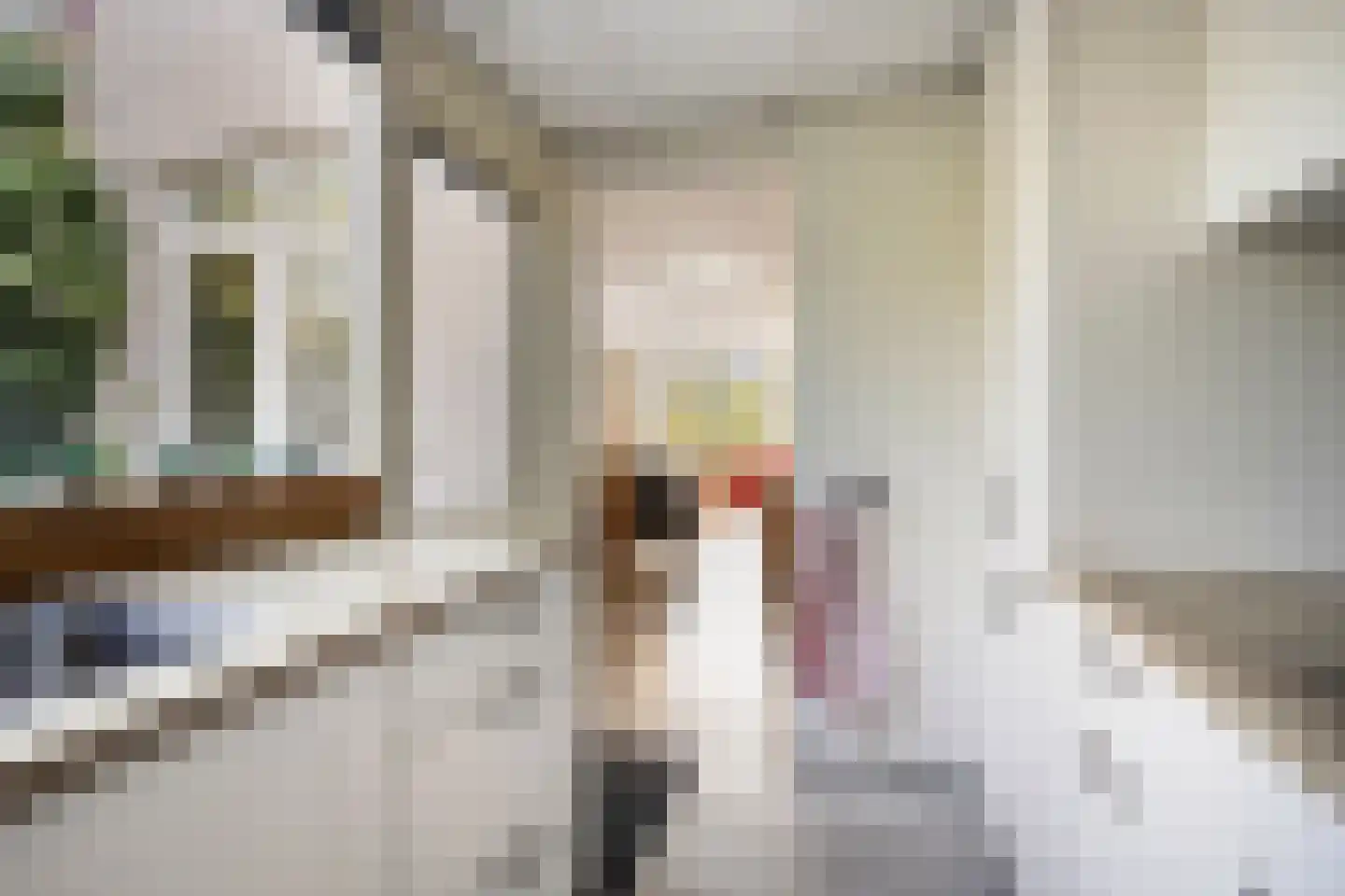 Zwanebloem 1 Woubrugge thumbnail 13