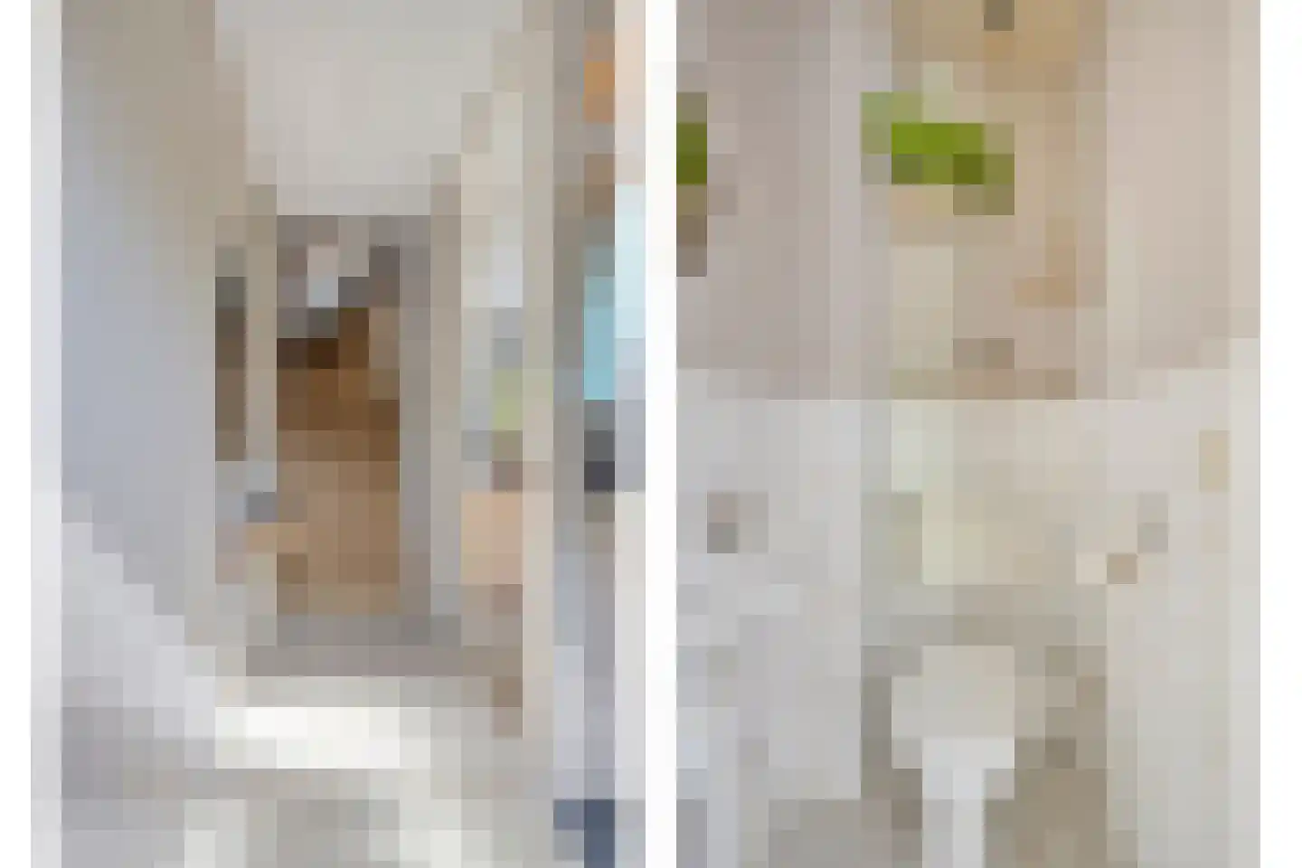 Zwanebloem 1 Woubrugge thumbnail 14