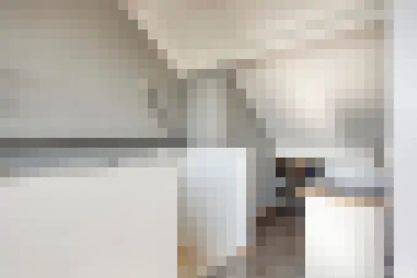 Zwanebloem 1 Woubrugge thumbnail 25
