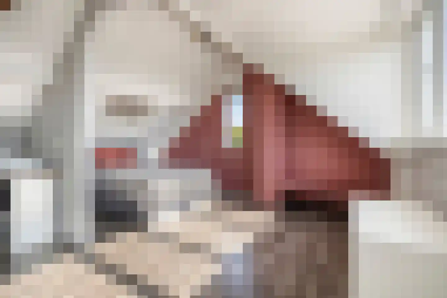 Zwanebloem 1 Woubrugge thumbnail 26
