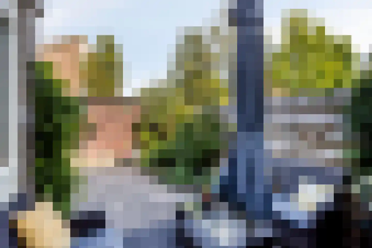 Zwanebloem 1 Woubrugge thumbnail 29
