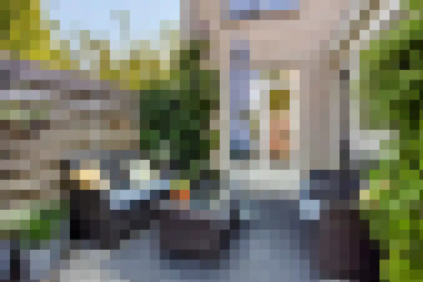 Zwanebloem 1 Woubrugge thumbnail 30