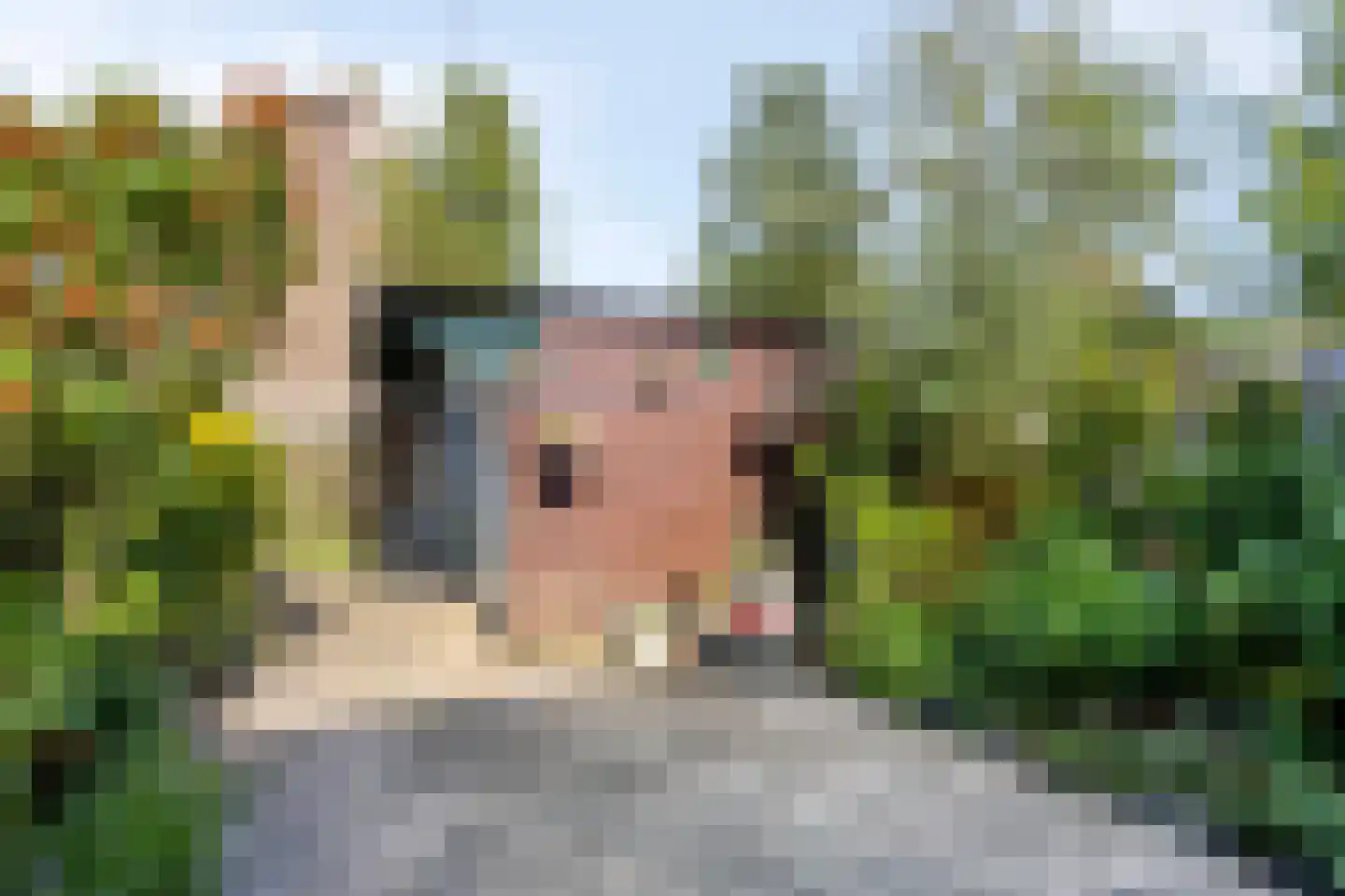 Zwanebloem 1 Woubrugge thumbnail 31