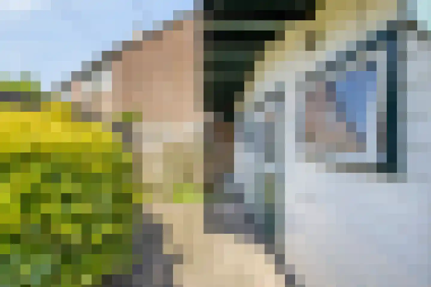 Zwanebloem 1 Woubrugge thumbnail 32