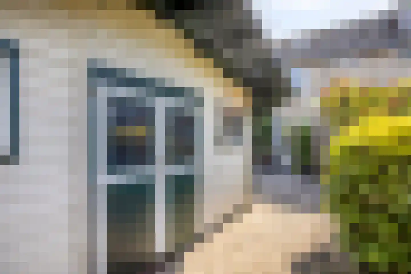 Zwanebloem 1 Woubrugge thumbnail 33
