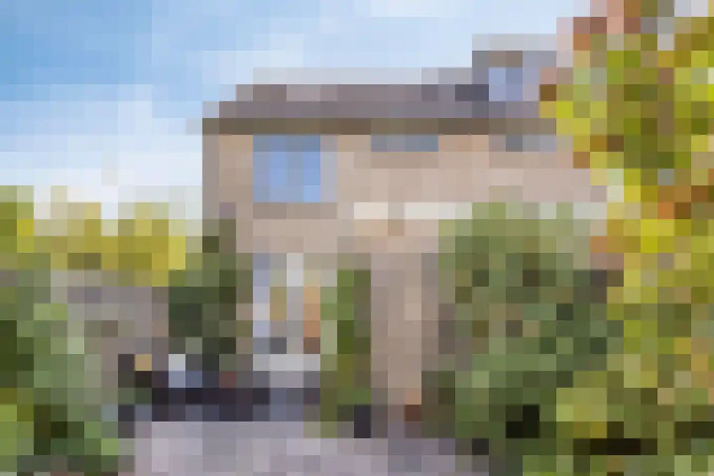 Zwanebloem 1 Woubrugge thumbnail 34