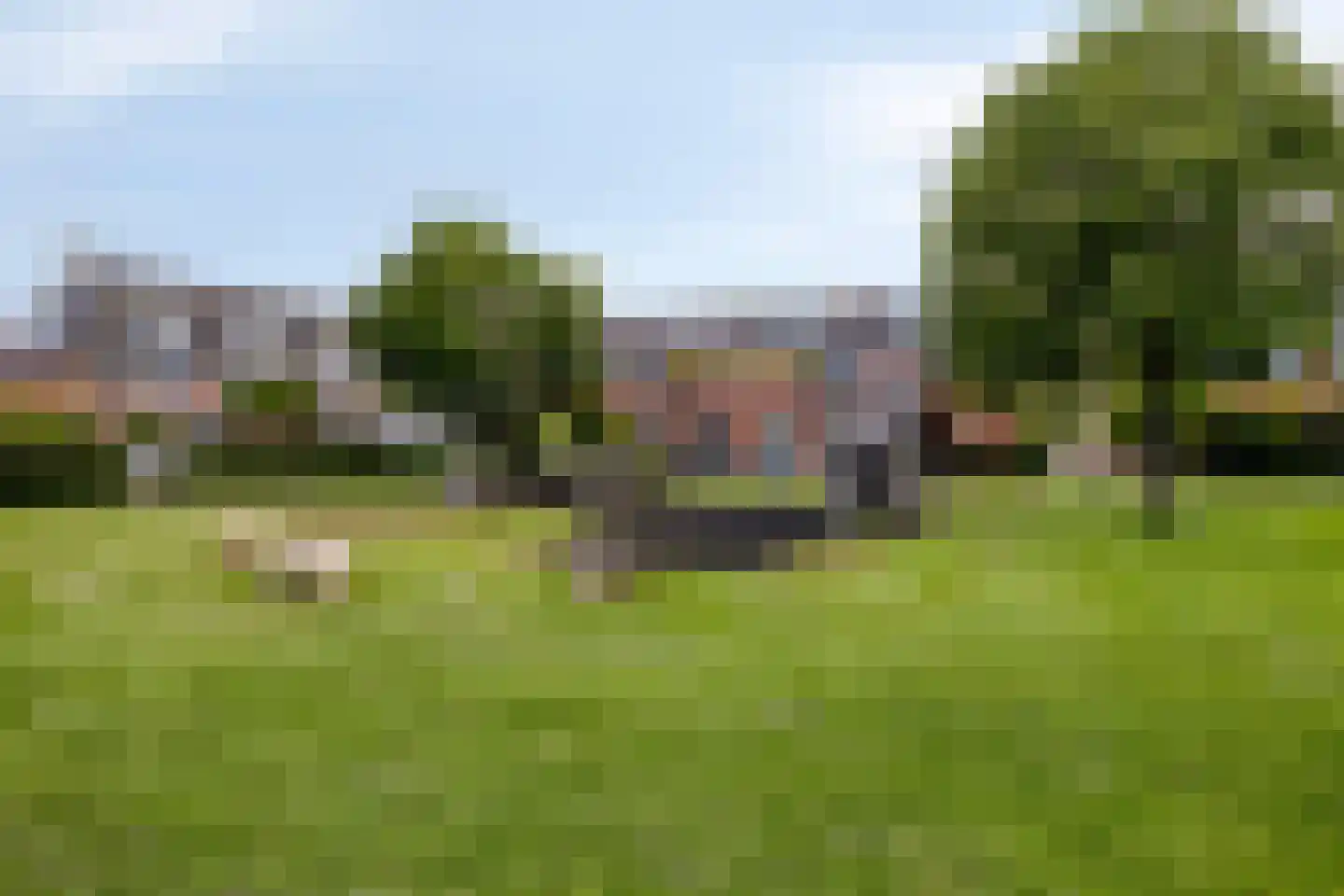 Zwanebloem 1 Woubrugge thumbnail 38