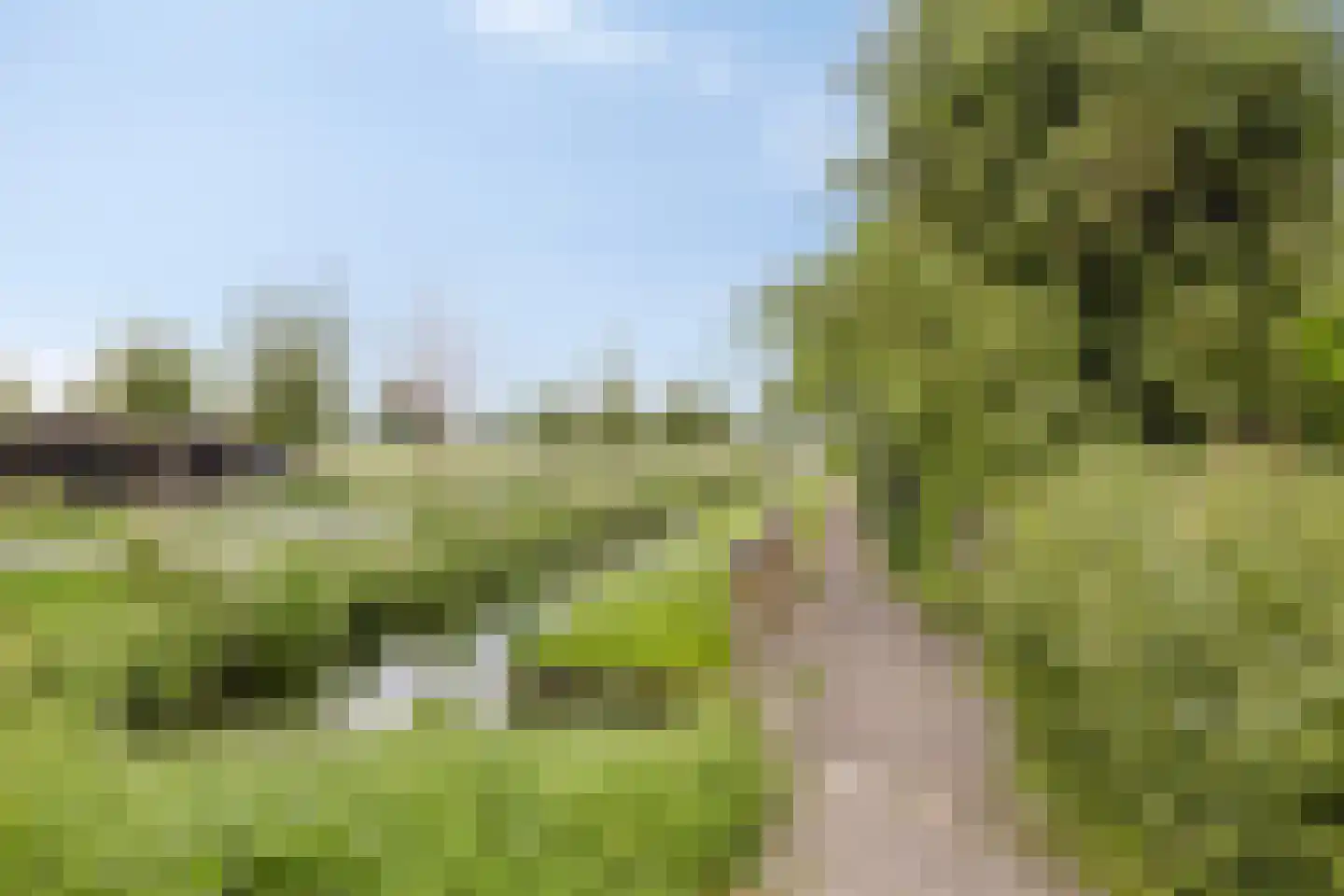 Zwanebloem 1 Woubrugge thumbnail 40