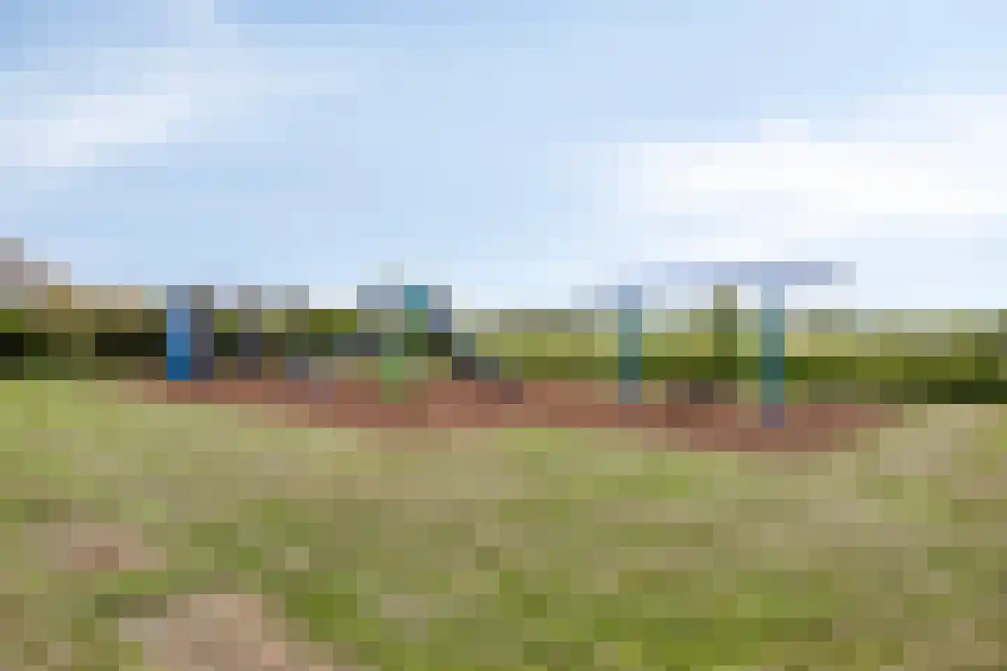Zwanebloem 1 Woubrugge thumbnail 44