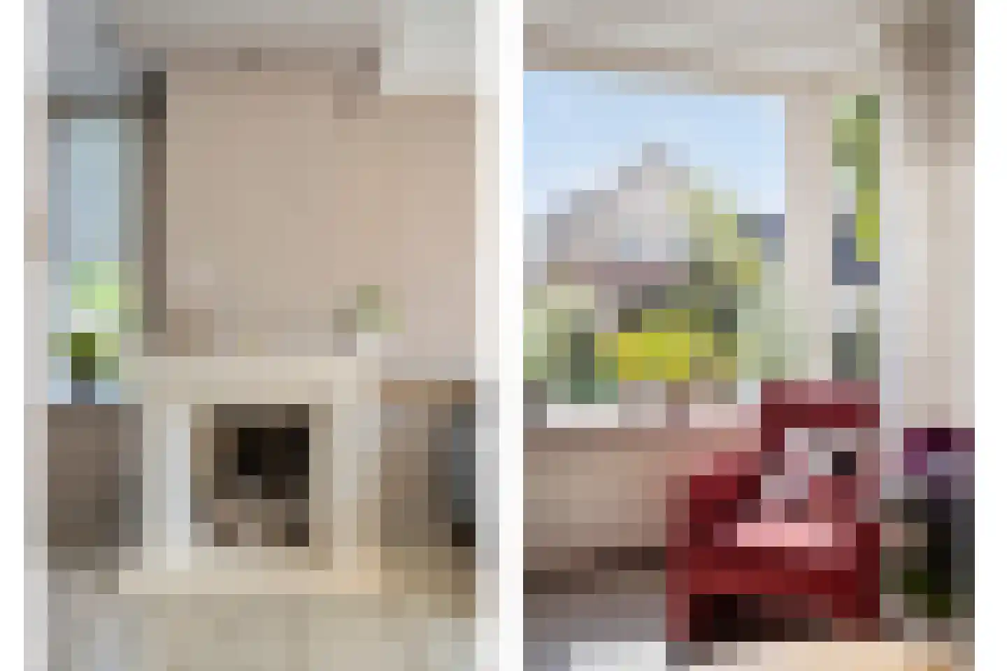 Zwanebloem 1 Woubrugge thumbnail 5