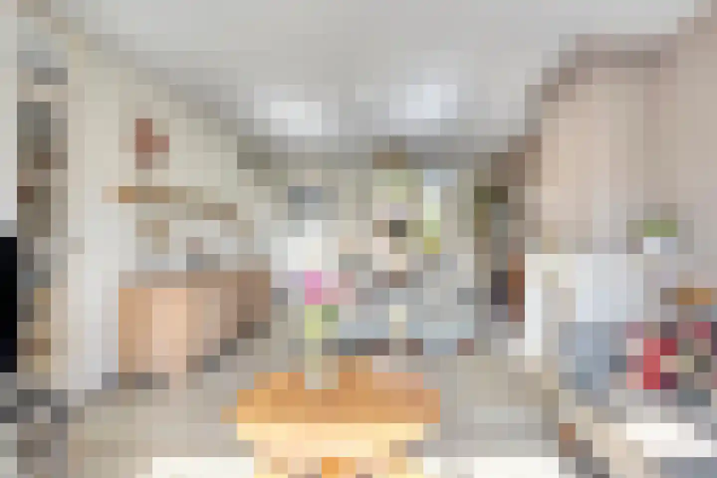 Zwanebloem 1 Woubrugge thumbnail 6