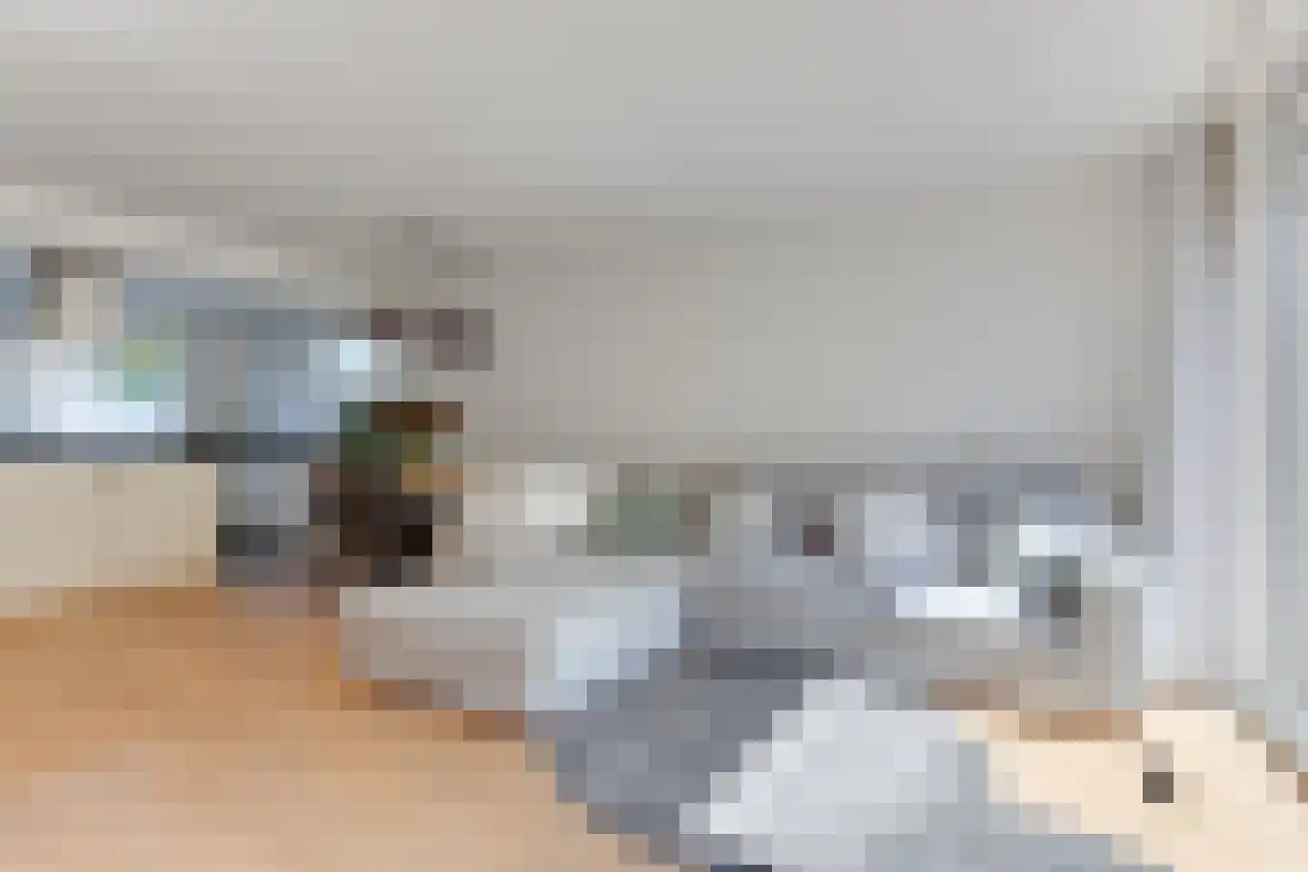 Zwanebloem 1 Zwaag thumbnail 12
