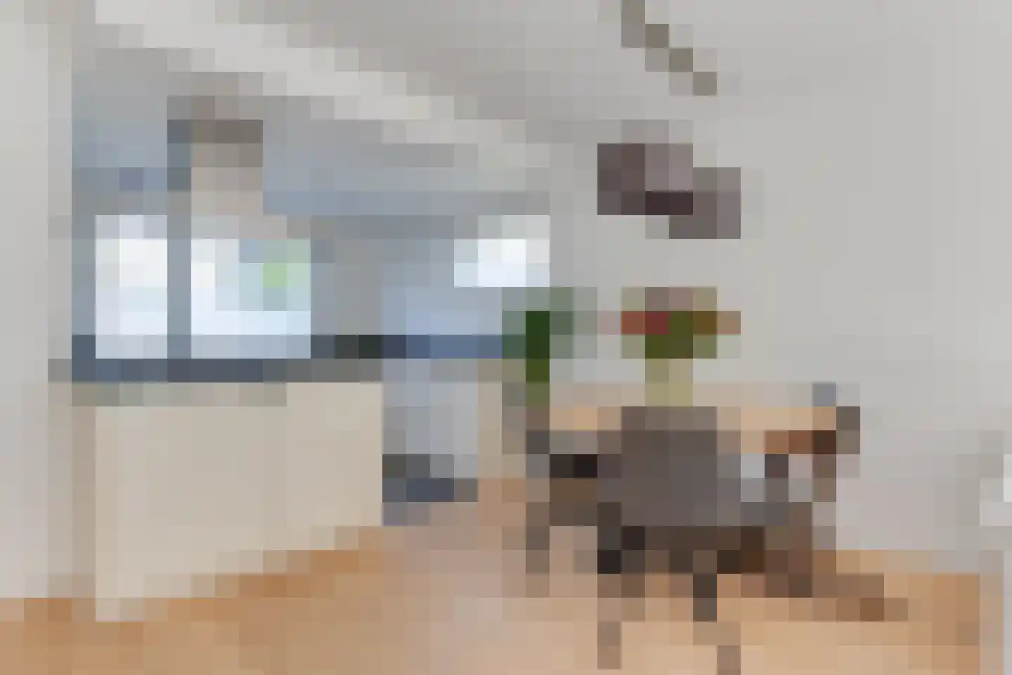 Zwanebloem 1 Zwaag thumbnail 15