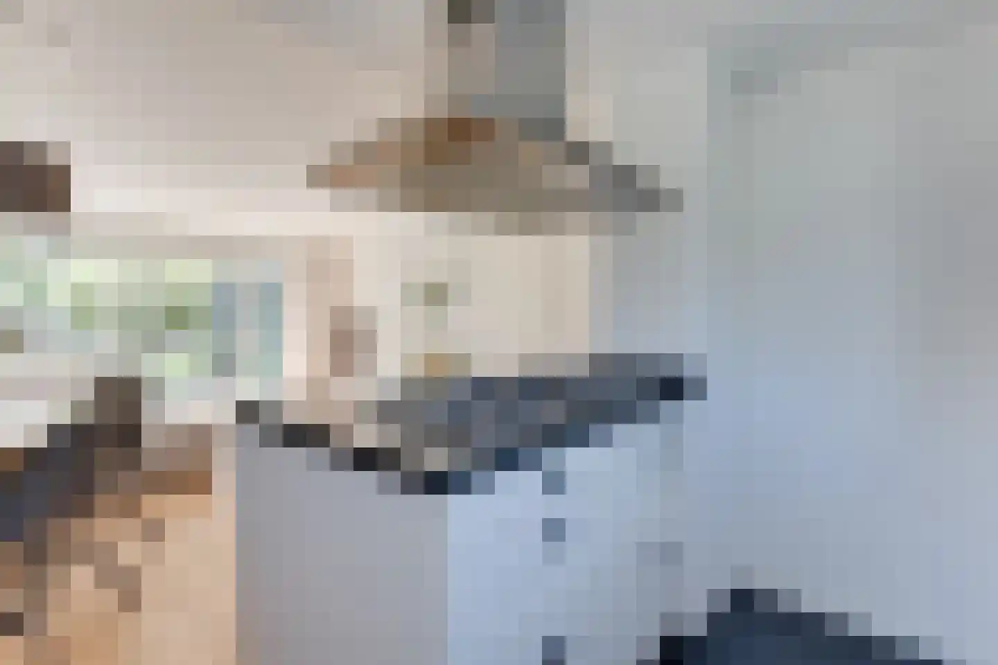 Zwanebloem 1 Zwaag thumbnail 20