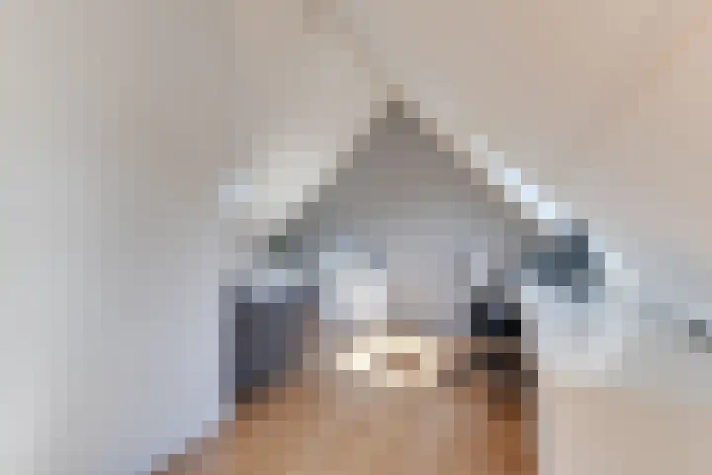 Zwanebloem 1 Zwaag thumbnail 36