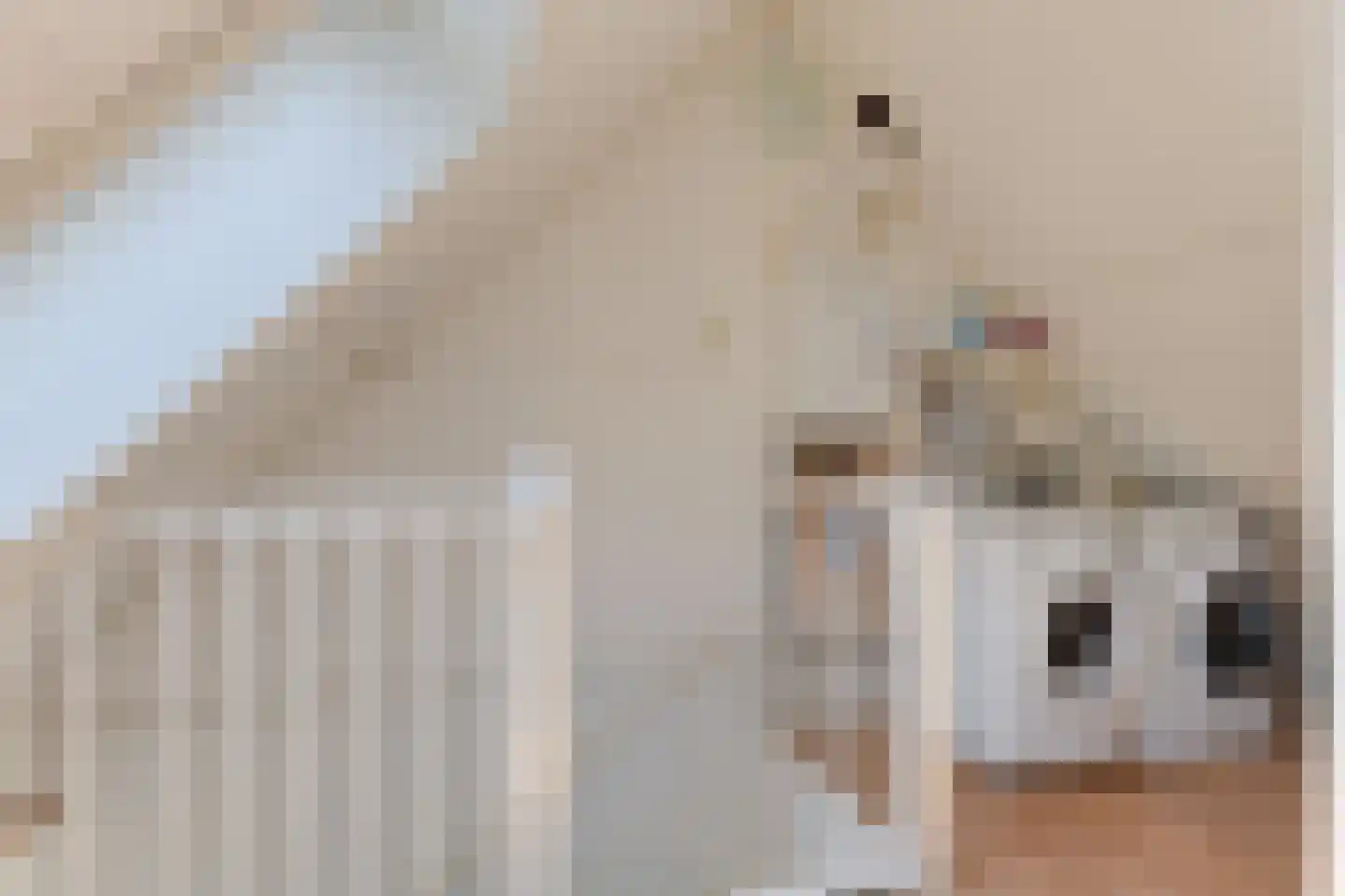 Zwanebloem 1 Zwaag thumbnail 39