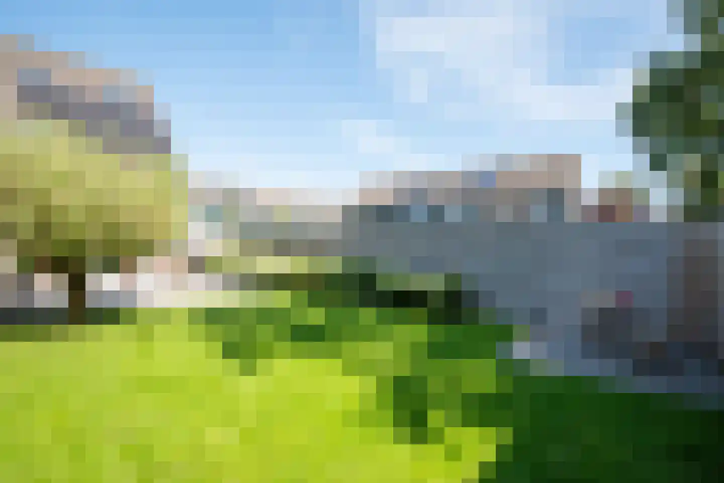 Zwanebloem 1 Zwaag thumbnail 4