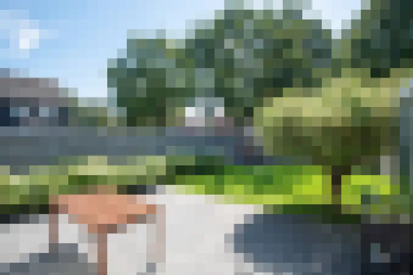 Zwanebloem 1 Zwaag thumbnail 40